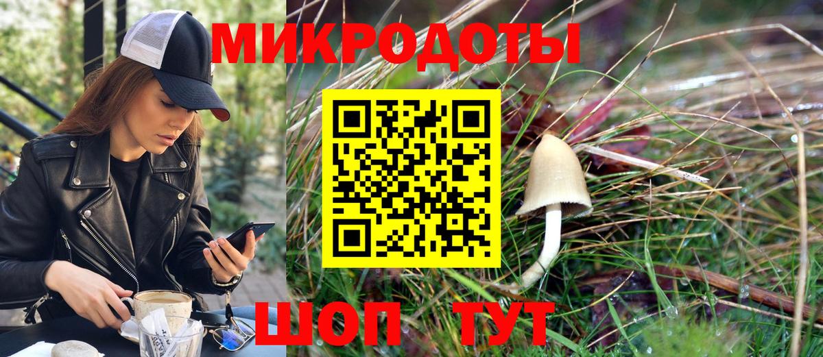 Галлюциногенные грибы Magic Shrooms  Вход с VPN  Баксан  Галлюциногенные грибы Psilocybe 